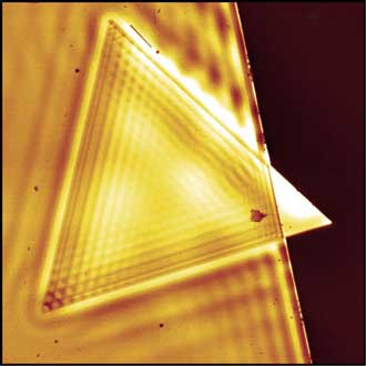 Graphic of a gold stripe with gold triangle on it with its corner peeping out